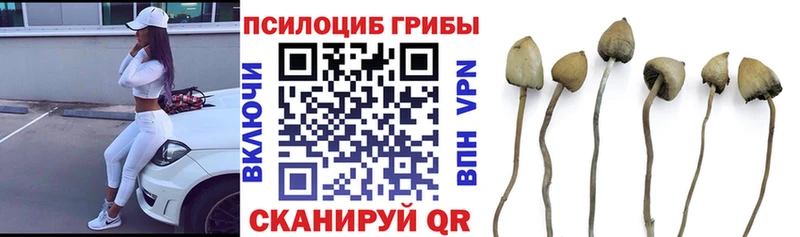 Галлюциногенные грибы ЛСД  hydra   Воскресенск  где найти наркотики 